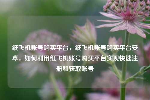 纸飞机账号购买平台，纸飞机账号购买平台安卓，如何利用纸飞机账号购买平台实现快速注册和获取账号