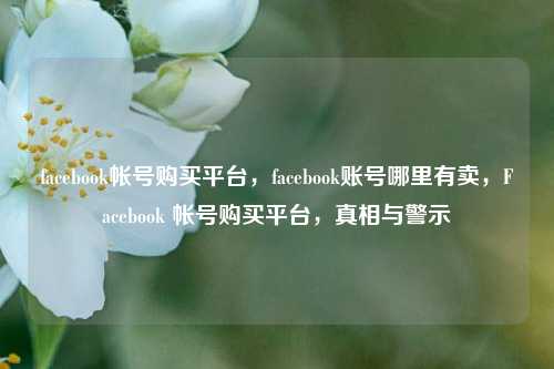 facebook帐号购买平台，facebook账号哪里有卖，Facebook 帐号购买平台，真相与警示