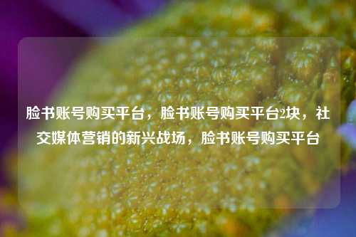 脸书账号购买平台，脸书账号购买平台2块，社交媒体营销的新兴战场，脸书账号购买平台