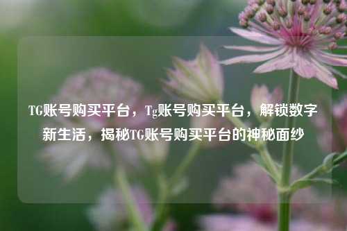 TG账号购买平台，Tg账号购买平台，解锁数字新生活，揭秘TG账号购买平台的神秘面纱
