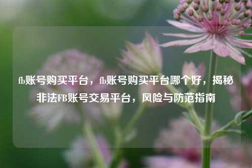 fb账号购买平台，fb账号购买平台哪个好，揭秘非法FB账号交易平台，风险与防范指南