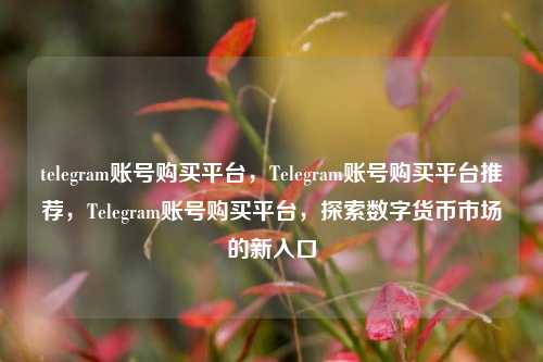 telegram账号购买平台，Telegram账号购买平台推荐，Telegram账号购买平台，探索数字货币市场的新入口