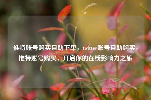 推特账号购买自助下单，twitter账号自助购买，推特账号购买，开启你的在线影响力之旅