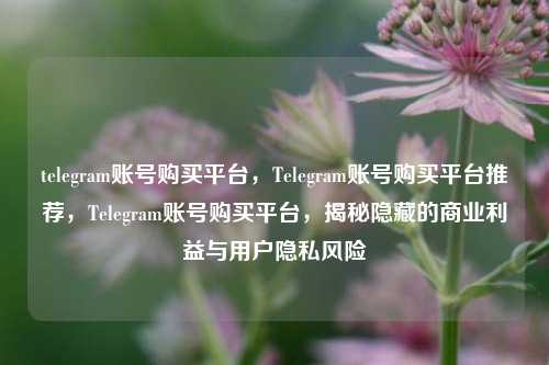 telegram账号购买平台，Telegram账号购买平台推荐，Telegram账号购买平台，揭秘隐藏的商业利益与用户隐私风险