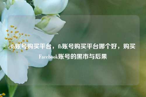 fb账号购买平台，fb账号购买平台哪个好，购买Facebook账号的黑市与后果