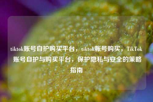 tiktok账号自护购买平台，tiktok帐号购买，TikTok 账号自护与购买平台，保护隐私与安全的策略指南