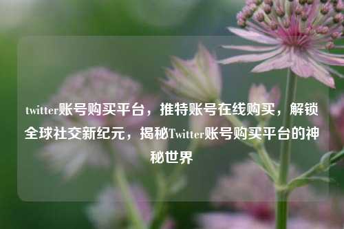 twitter账号购买平台，推特账号在线购买，解锁全球社交新纪元，揭秘Twitter账号购买平台的神秘世界