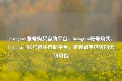 instagram账号购买自助平台，instagram帐号购买，Instagram 账号购买自助平台，解锁数字世界的无限可能