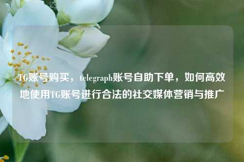 TG账号购买，telegraph账号自助下单，如何高效地使用TG账号进行合法的社交媒体营销与推广