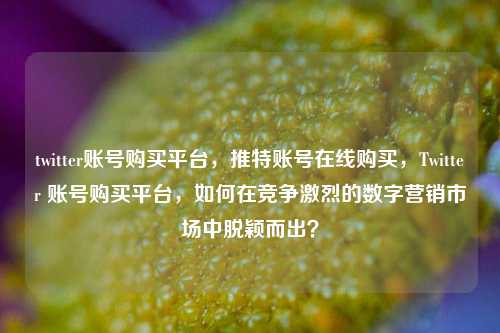 twitter账号购买平台，推特账号在线购买，Twitter 账号购买平台，如何在竞争激烈的数字营销市场中脱颖而出？