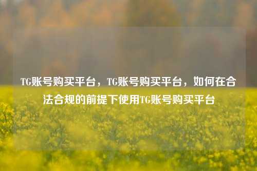 TG账号购买平台，TG账号购买平台，如何在合法合规的前提下使用TG账号购买平台