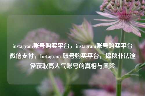 instagram账号购买平台，instagram账号购买平台微信支付，Instagram 账号购买平台，揭秘非法途径获取高人气账号的真相与风险