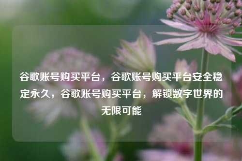 谷歌账号购买平台，谷歌账号购买平台安全稳定永久，谷歌账号购买平台，解锁数字世界的无限可能