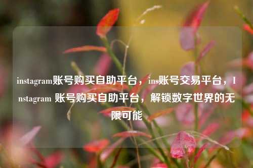 instagram账号购买自助平台，ins账号交易平台，Instagram 账号购买自助平台，解锁数字世界的无限可能
