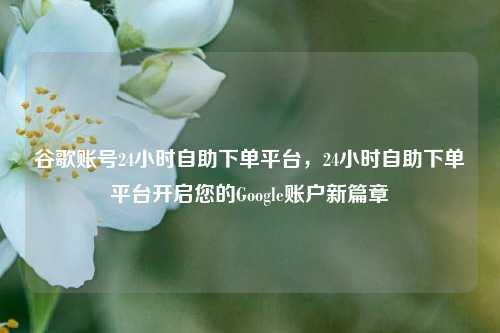 谷歌账号24小时自助下单平台，24小时自助下单平台开启您的Google账户新篇章