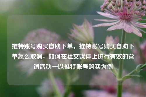 推特账号购买自助下单	，推特账号购买自助下单怎么取消，如何在社交媒体上进行有效的营销活动—以推特账号购买为例  第1张