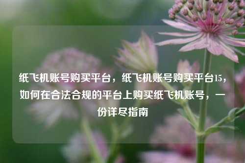 纸飞机账号购买平台，纸飞机账号购买平台15，如何在合法合规的平台上购买纸飞机账号，一份详尽指南
