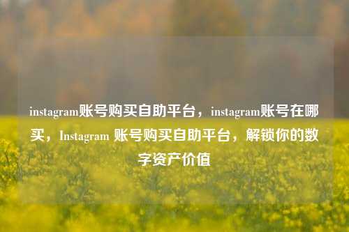 instagram账号购买自助平台，instagram账号在哪买，Instagram 账号购买自助平台，解锁你的数字资产价值