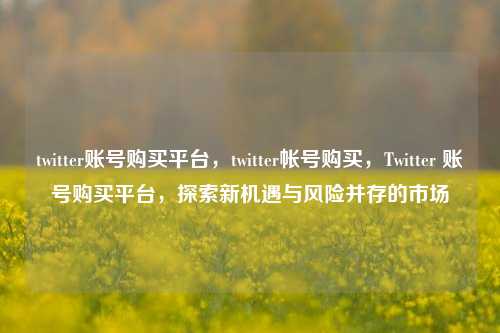 twitter账号购买平台，twitter帐号购买，Twitter 账号购买平台，探索新机遇与风险并存的市场