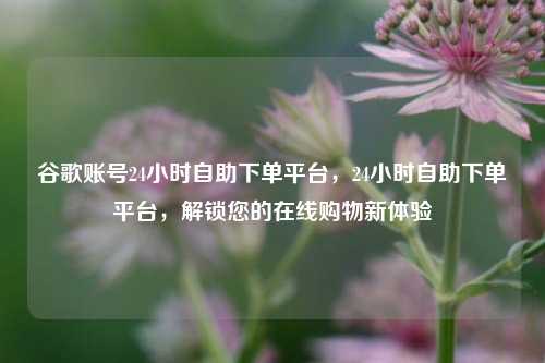 谷歌账号24小时自助下单平台，24小时自助下单平台，解锁您的在线购物新体验