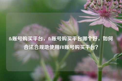 fb账号购买平台，fb账号购买平台哪个好，如何合法合规地使用FB账号购买平台？
