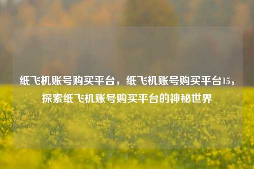 纸飞机账号购买平台，纸飞机账号购买平台15，探索纸飞机账号购买平台的神秘世界