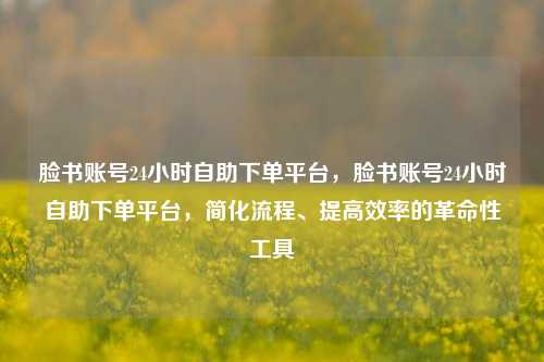 脸书账号24小时自助下单平台，脸书账号24小时自助下单平台，简化流程、提高效率的革命性工具
