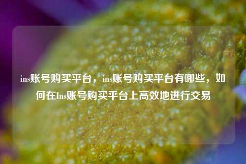 ins账号购买平台，ins账号购买平台有哪些，如何在Ins账号购买平台上高效地进行交易