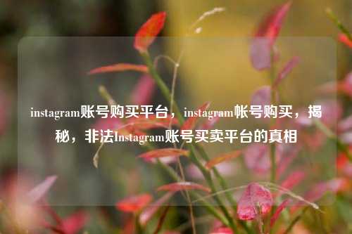 instagram账号购买平台，instagram帐号购买，揭秘，非法Instagram账号买卖平台的真相