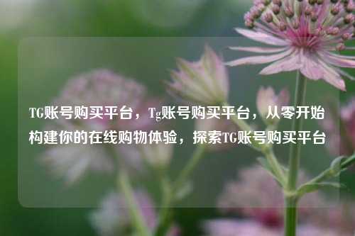 TG账号购买平台，Tg账号购买平台，从零开始构建你的在线购物体验，探索TG账号购买平台
