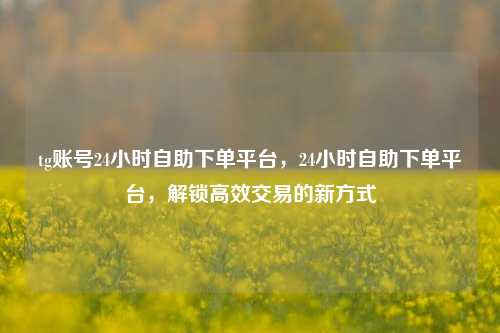 tg账号24小时自助下单平台，24小时自助下单平台，解锁高效交易的新方式