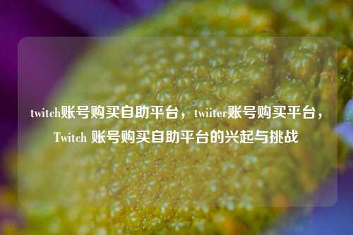 twitch账号购买自助平台，twiiter账号购买平台，Twitch 账号购买自助平台的兴起与挑战