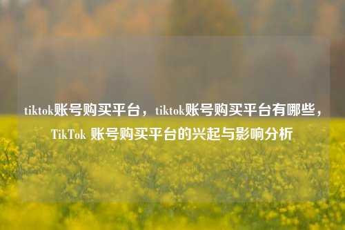 tiktok账号购买平台，tiktok账号购买平台有哪些，TikTok 账号购买平台的兴起与影响分析