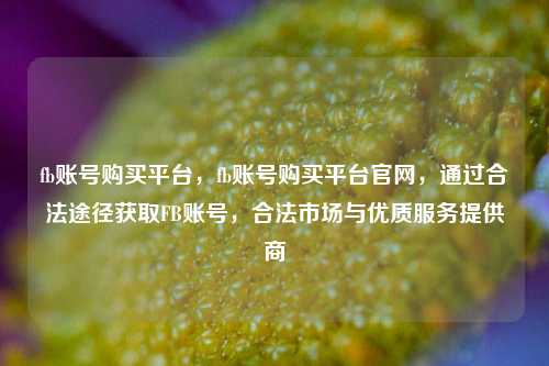 fb账号购买平台，fb账号购买平台官网，通过合法途径获取FB账号，合法市场与优质服务提供商