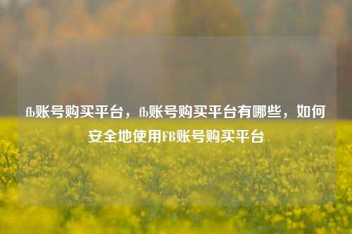 fb账号购买平台，fb账号购买平台有哪些，如何安全地使用FB账号购买平台