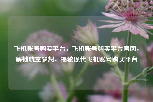 飞机账号购买平台，飞机账号购买平台官网，解锁航空梦想，揭秘现代飞机账号购买平台