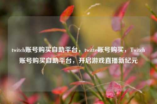 twitch账号购买自助平台，twitte账号购买，Twitch账号购买自助平台，开启游戏直播新纪元