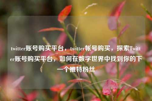 twitter账号购买平台，twitter帐号购买，探索Twitter账号购买平台，如何在数字世界中找到你的下一个推特粉丝