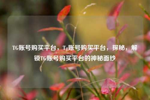 TG账号购买平台，Tg账号购买平台，探秘	，解锁TG账号购买平台的神秘面纱  第1张