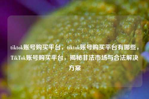 tiktok账号购买平台，tiktok账号购买平台有哪些，TikTok账号购买平台，揭秘非法市场与合法解决方案