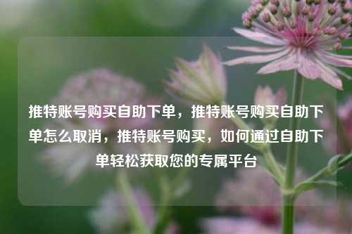 推特账号购买自助下单，推特账号购买自助下单怎么取消，推特账号购买，如何通过自助下单轻松获取您的专属平台