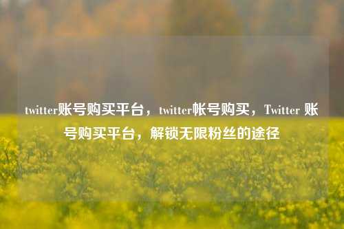 twitter账号购买平台，twitter帐号购买，Twitter 账号购买平台，解锁无限粉丝的途径