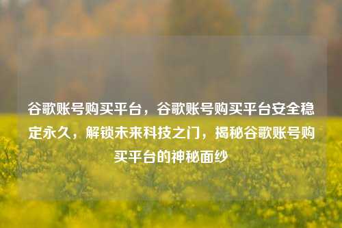 谷歌账号购买平台，谷歌账号购买平台安全稳定永久，解锁未来科技之门，揭秘谷歌账号购买平台的神秘面纱