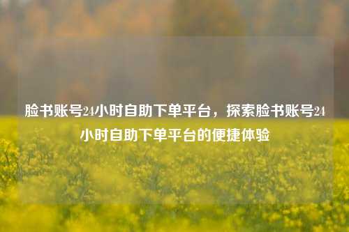 脸书账号24小时自助下单平台，探索脸书账号24小时自助下单平台的便捷体验