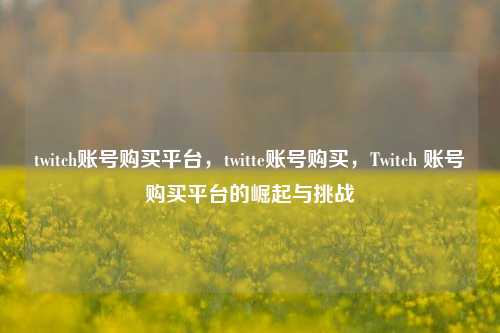 twitch账号购买平台，twitte账号购买，Twitch 账号购买平台的崛起与挑战