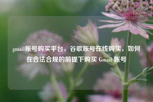 gmail账号购买平台，谷歌账号在线购买，如何在合法合规的前提下购买 Gmail 账号