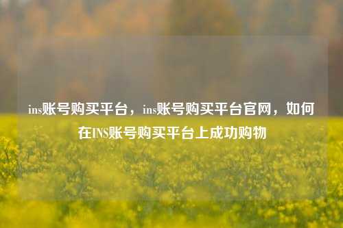 ins账号购买平台，ins账号购买平台官网，如何在INS账号购买平台上成功购物