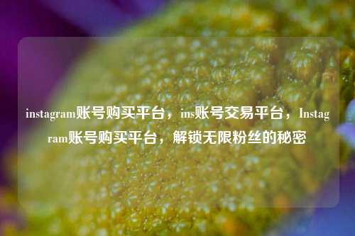 instagram账号购买平台，ins账号交易平台，Instagram账号购买平台，解锁无限粉丝的秘密