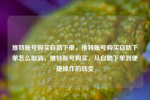 推特账号购买自助下单，推特账号购买自助下单怎么取消，推特账号购买，从自助下单到便捷操作的转变