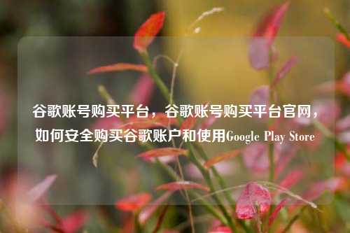 谷歌账号购买平台，谷歌账号购买平台官网，如何安全购买谷歌账户和使用Google Play Store